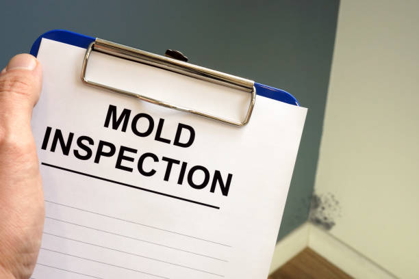 Best Residential Mold Inspection & Testing  in Savannah, TX